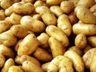 Ленинградскую картошку оценили