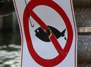 В водоемах Ленобласти запрещено рыбачить