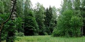 В Ленинградской области появился клуб директоров экологических школ