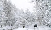 МЧС: На дорогах Ленобласти — снежные заносы 