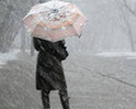 МЧС: в Ленобласть пришли потепление и мокрый снег, на дорогах скользко