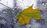 2 сентября в Ленинградской области ожидаются сильные дожди
