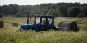 Тракторный парк Ленобласти проверят в сентябре