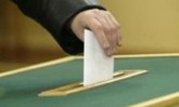 Где пройдут выборы в Ленобласти 8 сентября