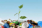 Совет представительных органов: «Без госпрограммы проблему мусора не решить»