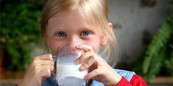 Реализация социально значимого проекта «Школьное молоко» в Российской Федерации
