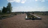 Государственный музей «Невский пятачок»  помог читательнице блога на Леноблинформ найти место захоронения дяди, погибшего в 1942 году.