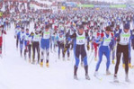Открыта регистрация на Гатчинский лыжный марафон