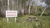 В преддверии пожароопасного периода власти Ленинградской области усилят меры профилактики