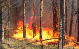 К борьбе с лесными пожарами готовы!