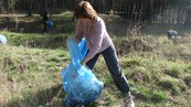 Акция Морозовского молодежного совета "Чистый лес" становится традицией