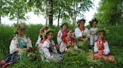 Троицу в Гатчине отметят традиционными хороводами