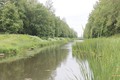 В администрации Шлиссельбурга обсудили проект очистки Староладожского канала