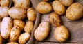 Инвестпроекты помогут картофелеводству
