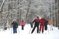 Лыжный сезон в Кировском районе можно считать закрытым