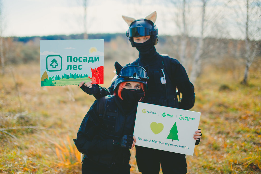 Российские волонтеры восстановили 60 га леса 