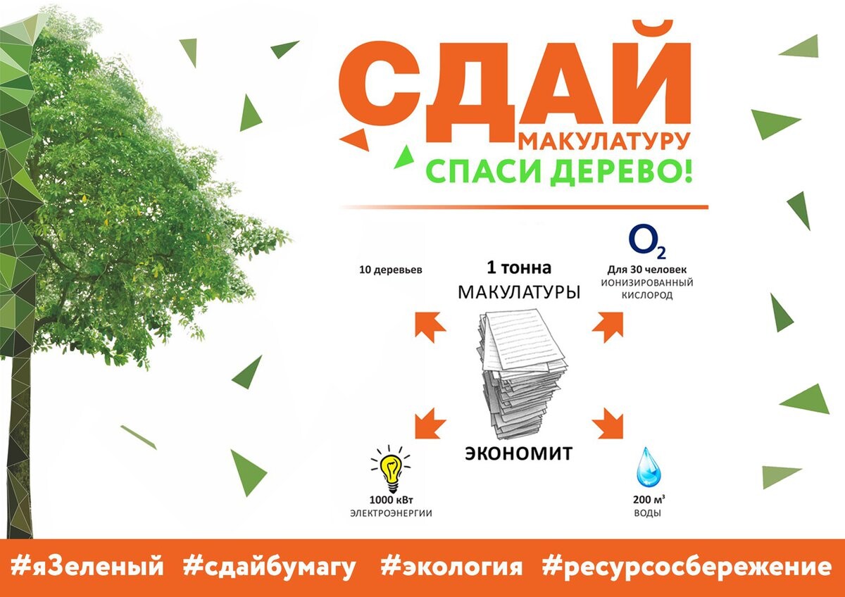 Примите участие в экомарафоне «Сдай макулатуру – спаси дерево!»