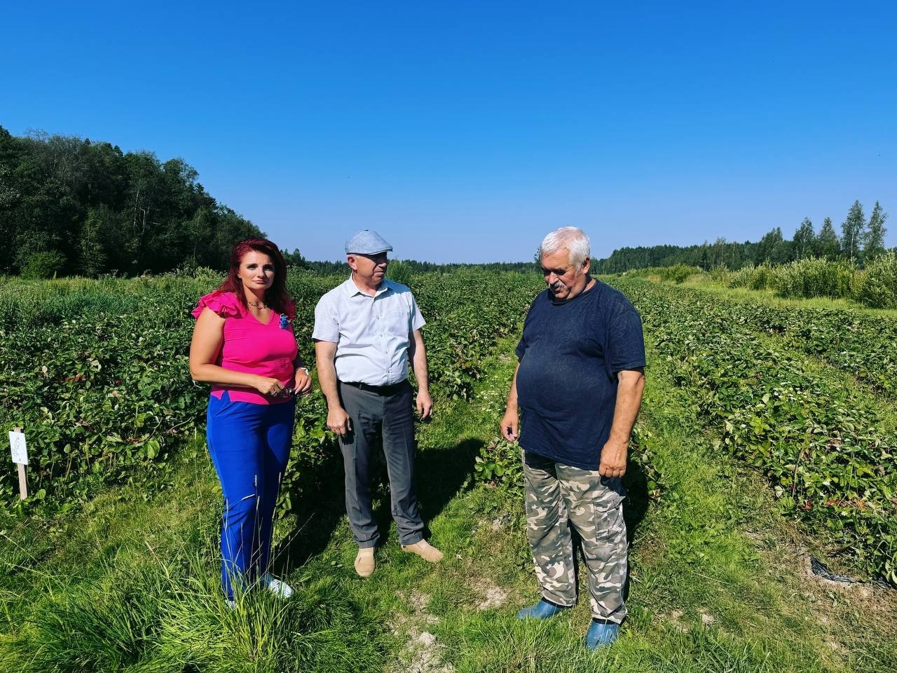 Гордость Кировского района! Гордость Кировского района!