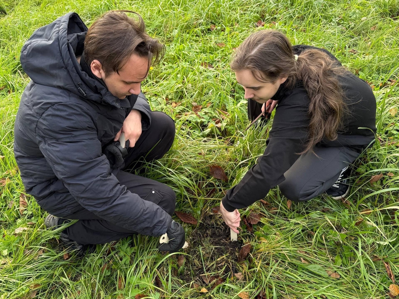 В Отрадном заложили новую аллею: выпускники школы №3 высадили кедры 