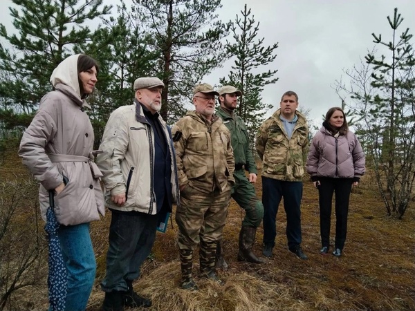 «Петровская роща» станет особо охраняемой природной территорией 