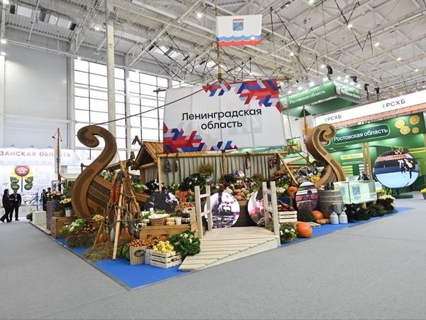 «Золотая осень — 2025» 