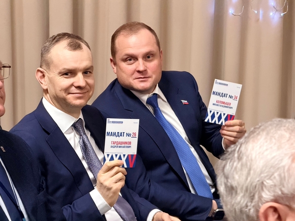 Делегация Кировского района приняла участие в областной партконференции 